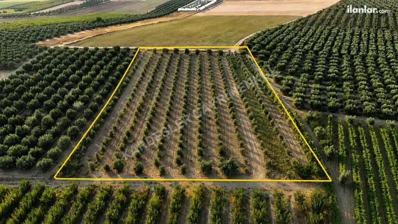 Manisa Salihli Akören Mahallesi 6.150 m² satılık tarla arsa - Fotoğraf 1