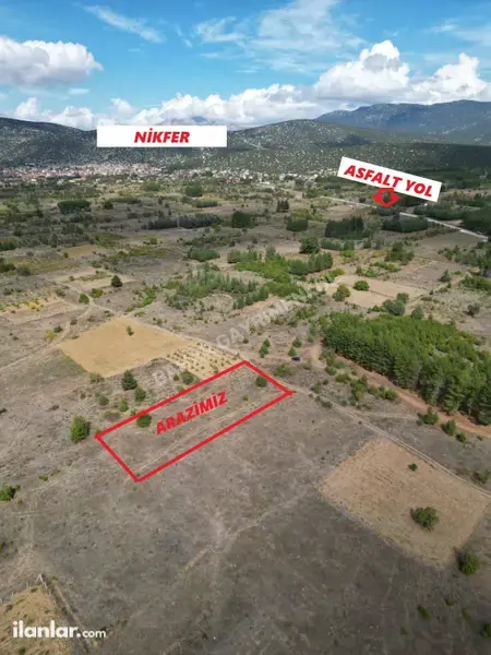 Denizli Tavas Nikfer Mahallesi 2.232 m² satılık - Fotoğraf 1