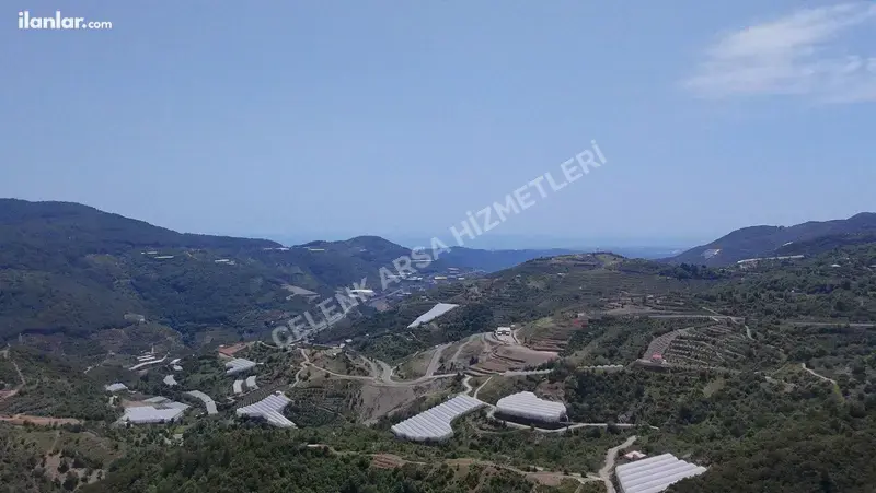 Antalya Alanya Burçaklar Mahallesi 520 m² satılık villa arsa - Fotoğraf 1