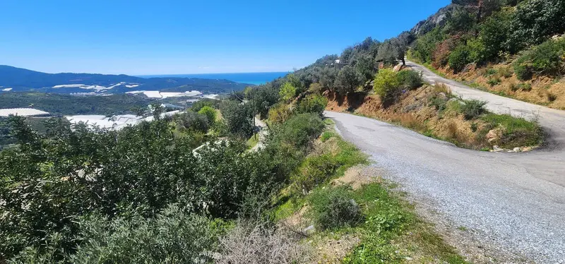 Antalya Alanya Hocalar Mahallesi 687 m² satılık villa arsa - Fotoğraf 1
