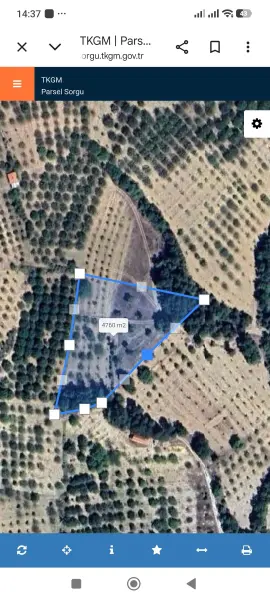 Bursa Keles Uzunöz Mahallesi 4.550 m² satılık bağ & Bahçe arsa - Fotoğraf 1