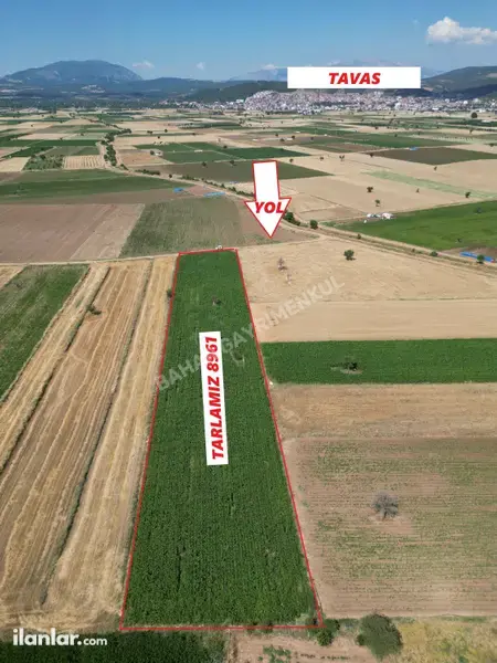 Denizli Tavas Orta Mahallesi 8.961 m² satılık tarla arsa - Fotoğraf 1