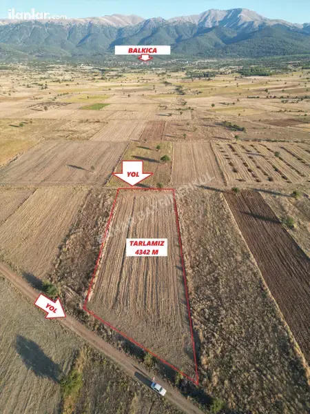 Denizli Tavas Yorga Mahallesi 4.342 m² satılık tarla arsa - Fotoğraf 1