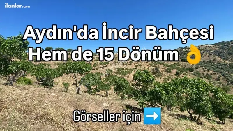 Aydın Yenipazar Paşaköy Mahallesi 15.778 m² satılık tarla arsa - Fotoğraf 1