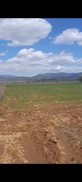 Denizli Tavas Bahçeköy Mahallesi 1.227 m² satılık tarla arsa - Fotoğraf 1