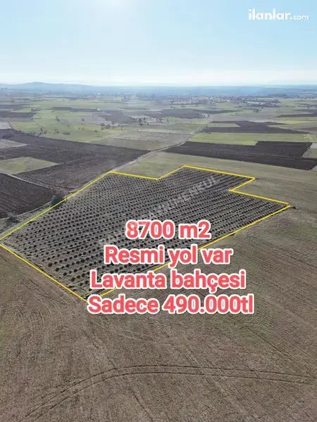 Denizli Bekilli Köselli Mahallesi 8.697 m² satılık - Fotoğraf 1