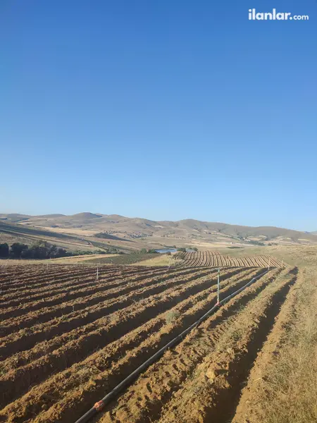 Niğde Merkez Elmalı, Menderes Mahallesi 13.428 m² satılık tarla arsa - Fotoğraf 1