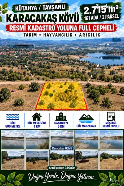 Kütahya Tavşanlı Karacakaş Köyü Mahallesi 2.715 m² satılık - Fotoğraf 1