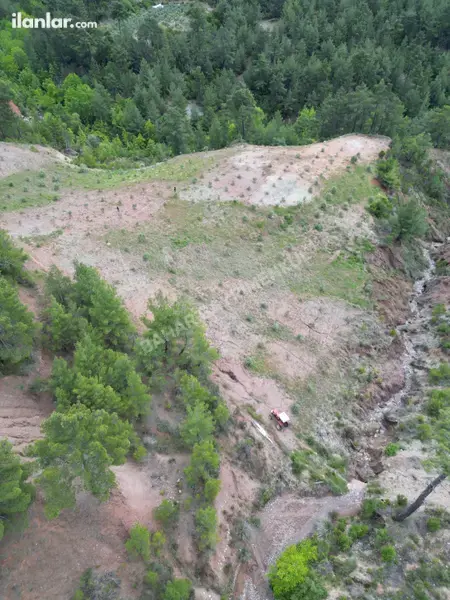 Denizli Kale Özlüce Mahallesi 8.732 m² satılık zeytinlik arsa - Fotoğraf 1