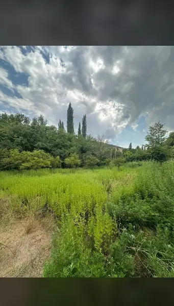 Kahramanmaraş Türkoğlu Avşarlı Mahallesi 1.765 m² satılık bağ & Bahçe arsa - Fotoğraf 1