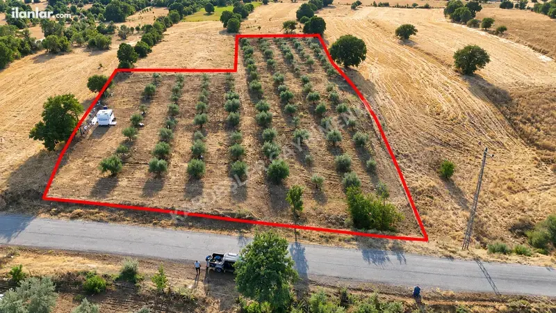 Manisa Kula Kenger Mahallesi 5.500 m² satılık tarla arsa - Fotoğraf 1