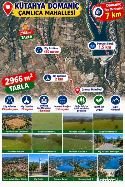 Kütahya Domaniç Çamlıca Köyü Mahallesi 2.966 m² satılık - Fotoğraf 1