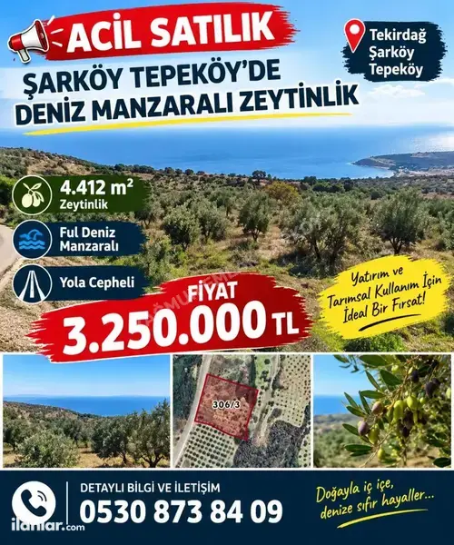 Tekirdağ Şarköy Tepeköy Mahallesi 4.412 m² satılık bağ & Bahçe arsa - Fotoğraf 1