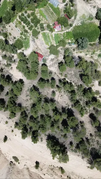 Denizli Acıpayam Aliveren Mahallesi 3.939 m² satılık tarla arsa - Fotoğraf 1