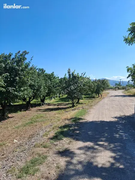 Sakarya Pamukova Yenice Mahallesi 4.160 m² satılık tarla arsa - Fotoğraf 1