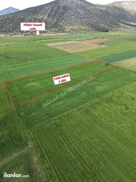 Denizli Tavas Garipköy Mahallesi 7.085 m² satılık arazi arsa - Fotoğraf 1