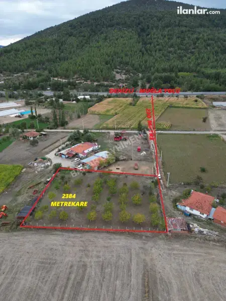 Denizli Tavas Solmaz Mahallesi 2.384 m² satılık bağ & Bahçe arsa - Fotoğraf 1
