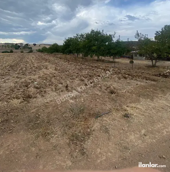 Bursa Yenişehir Afşar Mahallesi 3.625 m² satılık tarla arsa - Fotoğraf 1