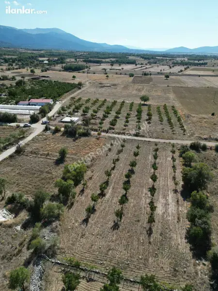 Denizli Tavas Bahçeköy Mahallesi 1.074 m² satılık konut arsa - Fotoğraf 1
