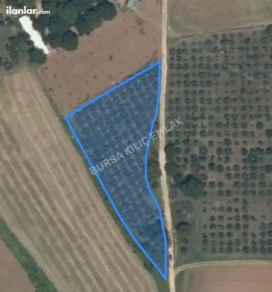Bursa Kestel Ümitalan Mahallesi 3.455 m² satılık bağ & Bahçe arsa - Fotoğraf 1
