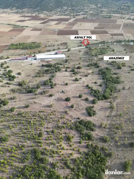 Denizli Tavas Ovacık Mahallesi 19.613 m² satılık - Fotoğraf 1