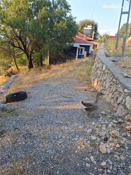 Denizli Çameli Bıçakçı Mahallesi 3+1 387 m² satılık müstakil Ev - Fotoğraf 1