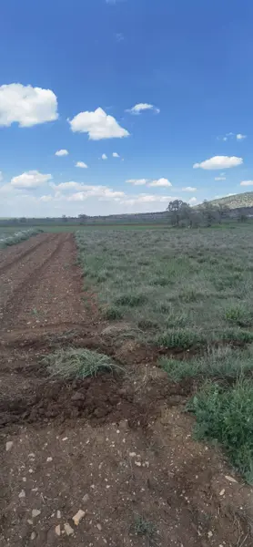 Denizli Bekilli Köselli Mahallesi 2.982 m² satılık - Fotoğraf 1