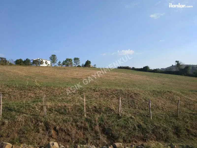 Samsun 19 Mayıs Beylik Mahallesi 3.100 m² satılık tarla arsa - Fotoğraf 1