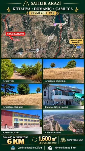 Kütahya Domaniç Çamlıca Köyü Mahallesi 1.600 m² satılık - Fotoğraf 1