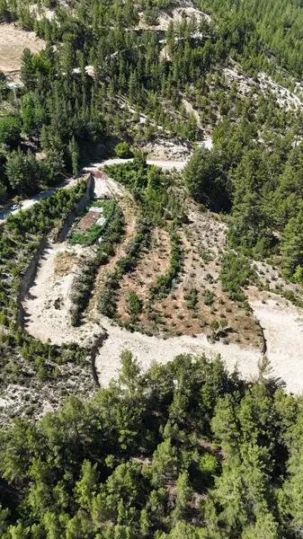 Denizli Çameli Ericek Mahallesi 11.693 m² satılık tarla arsa - Fotoğraf 1