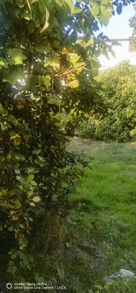 Denizli Pamukkale Kayıhan Mahallesi 372 m² satılık - Fotoğraf 1
