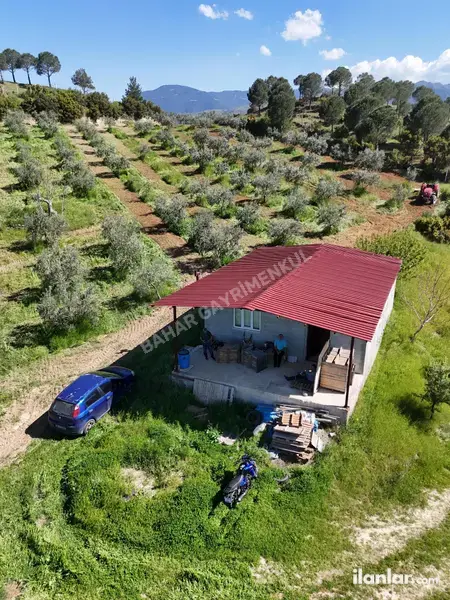 Denizli Babadağ Oğuzlar Mahallesi 41.500.000 m² satılık - Fotoğraf 1