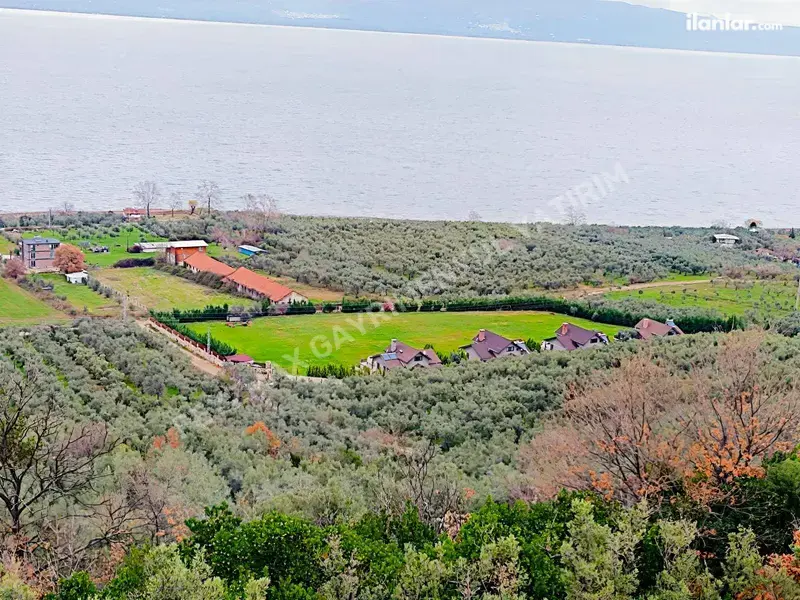 Bursa Orhangazi Gölyaka Mahallesi 1.733 m² satılık - Fotoğraf 1