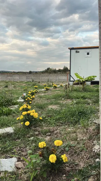 Sakarya Adapazarı Demirbey Mahallesi 276 m² satılık - Fotoğraf 1
