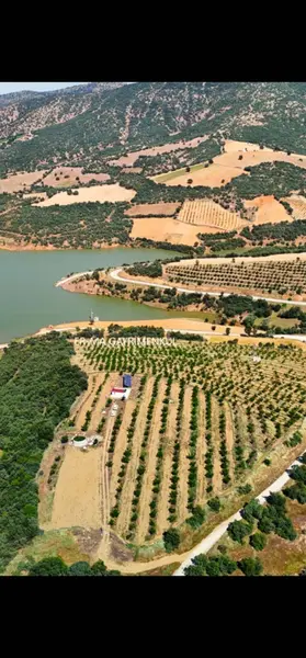 Manisa Kula Narıncalısüleyman Mahallesi 53.000 m² satılık - Fotoğraf 1