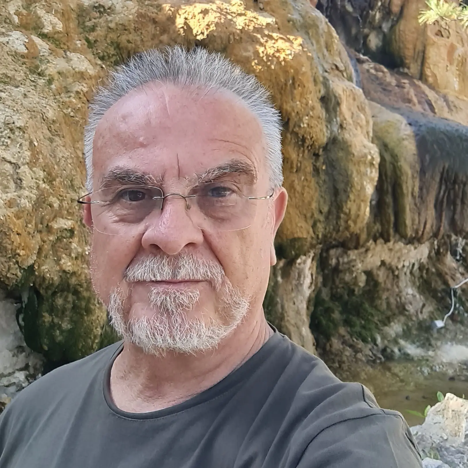 Ziya Güneyi